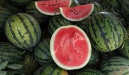 知名的吃瓜,吃瓜群众揭秘明星幕后故事