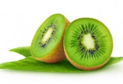 尿酸偏高吃角瓜,角瓜助力健康生活