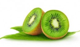 尿酸偏高吃角瓜,角瓜助力健康生活