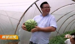 宜昌最新吃瓜事件,揭秘神秘事件背后的真相