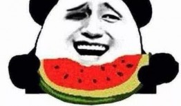 瓜哥吃瓜送金币,畅享娱乐盛宴