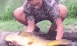 上厕所吃瓜搞笑,一场奇妙的如厕美食之旅