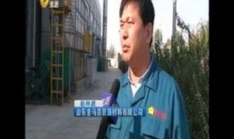 吃瓜少年视频完整,一场视频引发的全民狂欢