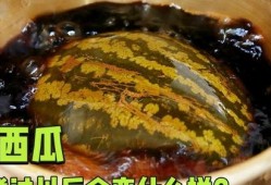 吃瓜怎么烧,创意吃瓜烧制攻略