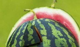 吃瓜吐籽特效,籽去无踪——揭秘神奇“吃瓜吐籽”特效