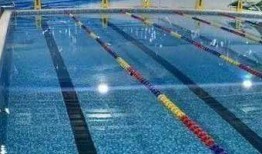 中体健身吃瓜,揭秘健身圈的那些事儿