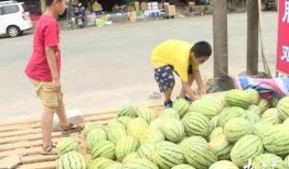 吃瓜不卖瓜是什么意思,网络流行语的深层含义与趣味解读