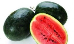 广西健行吃瓜,吃瓜群众的快乐之旅