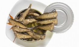 小鱼仔吃瓜,小鱼仔的瓜界探险记