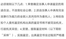 亲子鉴定 吃瓜,吃瓜群众背后的真相大揭秘