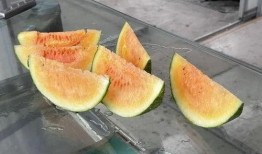 最美吃的瓜,最美吃的瓜，舌尖上的诱惑之旅