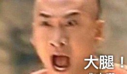 尔泰吃瓜表情,揭秘娱乐圈的“瓜田”风云