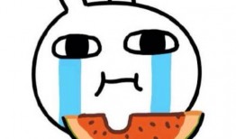 吃瓜事件讲解,揭秘网络舆论背后的真相与反思