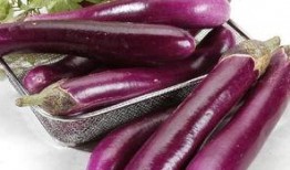 茄子吃瓜视频资源