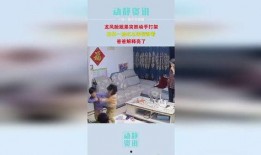 姐弟打架奶奶 吃瓜,家庭欢乐瞬间