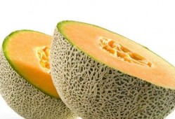 吃瓜族必备的吃瓜小包,吃瓜小包全攻略