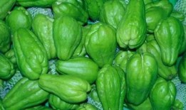 豆瓣无脑吃瓜,揭秘网络舆论场的狂欢与反思