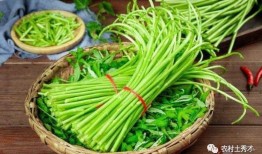 蒿妈吃瓜,揭秘娱乐圈那些不为人知的幕后故事