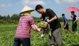 小琼吃瓜群众,揭秘娱乐圈幕后故事