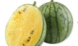 吃瓜都是黄的吗,吃瓜不一定是黄的，揭秘瓜类多样色彩之谜