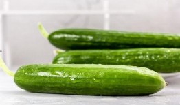 转基因瓜可以吃吗,安全食用与科学认知