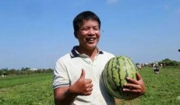 小琼吃瓜群众,揭秘娱乐圈幕后故事