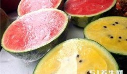 吃瓜中毒吐血,揭秘食品安全背后的惊悚真相