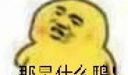 吃瓜表情和微笑,揭秘吃瓜表情与微笑背后的故事