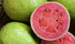 孕妇吃吊瓜哪个好,孕妇食用吊瓜的挑选指南