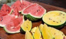 不能理性吃瓜,远离是非漩涡