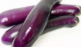 茄子吃瓜视频资源