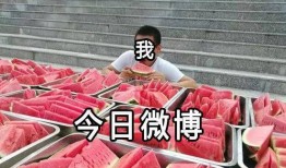 吃瓜vx学校里,吃瓜vx带你领略校园生活百态