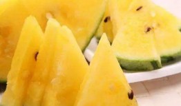 吃瓜围观图,揭秘吃瓜围观背后的社会现象