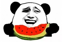 吃瓜群众的闺蜜,揭秘吃瓜群众的闺蜜生活