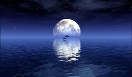 窗前明月吃瓜场