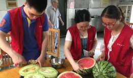 吃瓜奶奶安,揭秘网络红人的魅力与影响力