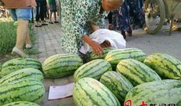 瓜哥吃瓜送金币,畅享娱乐盛宴