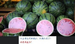 图文搞笑吃瓜图片大全,带你领略视觉盛宴