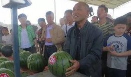 房县吃瓜群众,揭秘当地独特饮食文化