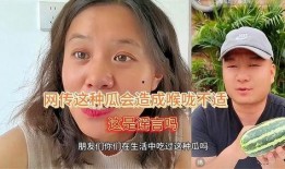 过分想你 吃瓜,一场关于过分想念的甜蜜冒险