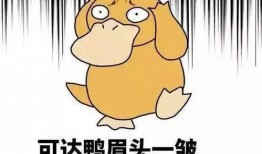 瓜哥吃瓜乌鸦喝水视频,一场趣味横生的动物奇遇记