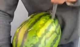 吃瓜不卖瓜是什么意思,网络流行语的深层含义与趣味解读