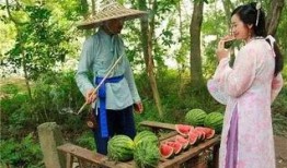 上班路上吃瓜的,瓜田里的那些事儿
