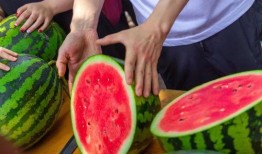 广西演艺学院 吃瓜,揭秘校园“吃瓜”风云录