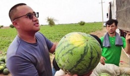 蓝冰吃瓜,揭秘娱乐圈幕后真相