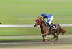 赛马吃瓜,一场别开生面的趣味赛事