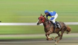 赛马吃瓜,一场别开生面的趣味赛事