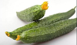 宿舍多人吃瓜,揭秘多人吃瓜的欢乐时光