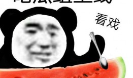 吃瓜理性,揭秘娱乐圈背后的真相