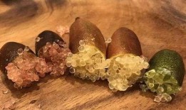 100万土豪吃瓜,揭秘100万土豪的吃瓜传奇